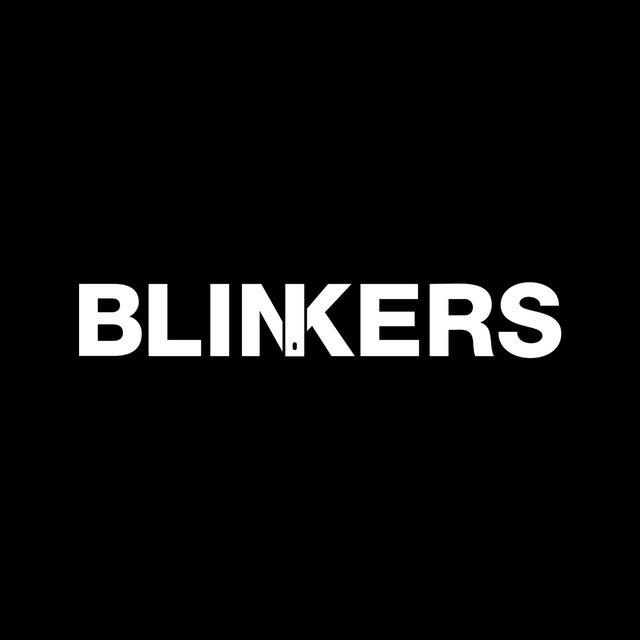 officialblinkersdisposable.com